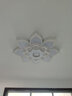 灵翔之光轻奢客厅灯简约现代异形大厅大灯大尺寸花朵led吸顶灯2025年新款 80cm三色80W适用15-25㎡ 实拍图