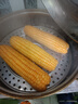 即食特大棒老玉米笨玉米传统老式黄笨玉米不甜不糯不黏粗粮代餐 单根约230g中棒【10根】适中 实拍图