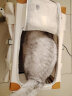 AMEEKLION猫包外出便携大容量两只猫咪宠物包斜挎手提猫笼透气狗狗单肩背包 奶白色 宠物包 晒单实拍图
