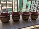 陶瓷花盆特大号 陶土花盆紫砂陶瓷盆带托盘 口径19cm一个 大 实拍图