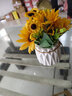 九千谷假花仿真黄色向日葵盆栽办公室假绿植客厅装饰品Life陶瓷花盆3490 实拍图