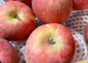 苹果水果 新疆红富士丑苹果 新鲜时令水果礼盒 10斤装精选一级果 单果70-80mm 晒单实拍图