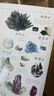 矿物与岩石完全图鉴   直观、立体全方位鉴别与分析，轻松认识矿物与岩石 实拍图