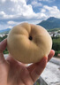 佐什冬桃鲜桃子脆甜软桃新鲜当季时令水果 3斤装（单果约80-120g） 实拍图