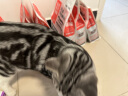 卫仕 五拼冻干山海盛宴 成猫幼猫无谷猫粮1.5kg*6 (配方升级规格修改) 晒单实拍图