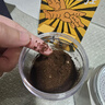 Mongdio 电动磨豆机咖啡豆研磨机全自动 白色款-充电款陶瓷芯 实拍图