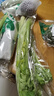 有机汇有机西芹 榨汁西芹有机芹菜汁出汁率高 有机种植无农残 新鲜采摘 1500g 实拍图