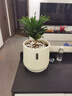 植卉居塑料花盆轻奢高级感发财树盆景蝴蝶兰专用室内大型绿植花盆 JB聚宝盆-270【22*26】配托盘 一套装 实拍图