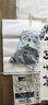 六品堂 文房四宝熟宣纸四尺对开国画书法创作生宣纸毛笔书法练习纸 四尺三开 100张 实拍图