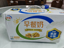 伊利11月伊利早餐核桃奶麦香250ml*24盒装整箱营养牛奶中老年早餐伴侣 【9月底】早餐核桃奶250ml*24盒 实拍图