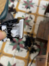雷瓦（RIWA）【原装】理发器电推剪电推子RE-6501T X9 6305 6110刀头电池电源充电器【各型号不通用】 老款6501专用刀头 实拍图