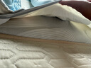 优自然泰国天然乳胶软床垫学生单人宿舍5cm可定制85D 0.8*1.9米软硬适中 实拍图