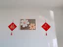 新居乔迁之喜装饰搬家入宅仪式用品入户门福字挂件电视背景墙挂画 【百福呈祥+家和万事兴】 【亚克力挂件】防水防污/送挂钩 实拍图