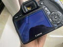 佳能/Canon 500D 600D  700D 750D 760D 800D 二手单反相机 95新 95新 佳能550D/18-55   防抖 套机 套机 实拍图