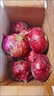 限时特惠】山东洋葱葱紫皮红皮洋葱现挖圆葱头正宗大果紫洋葱新鲜 限时钜惠：速抢//带箱 9斤 -大果 实拍图