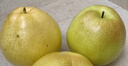 隰县玉露香梨山西隰县玉露香梨小西天特产梨子脆甜无渣多汁当季新鲜梨子礼盒装 18颗中果 净重8斤 实拍图