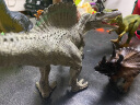 MECHILE恐龙玩具霸王龙恐龙世界模型套装仿真动物暴龙翼龙儿童玩具 棘龙 实拍图