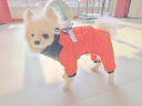 SLPC狗狗衣服冬天保暖中小型犬加厚四脚狗棉衣泰迪柯基小狗幼犬冲锋衣 橙 M（适合约5-8斤） 实拍图