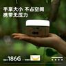牧高笛（MOBIGARDEN）营灯 户外露营LED灯多功能便携营地灯帐篷挂灯钓鱼灯零星 沙石色PRO 实拍图
