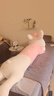 蓓斯曼兔子毛绒玩具趴兔睡觉抱枕布娃娃玩偶陪睡生日礼物送女生夹腿布偶 粉色爱的就是你蝴蝶结兔 1.5米 实拍图