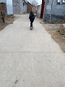RMT滑板专业板双翘板短板四轮刷街代步初学者成人男女生青少年儿童 卡通群像 8.0英寸 实拍图