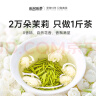 乐品乐茶茉莉飘雪茉莉花茶茶叶 特级浓香型横县原产散装礼盒装共250g 实拍图