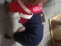 憨憨宠宠物狗狗衣服 狗衣服中小型犬泰迪衣服冬季加绒加厚背带裤猫衣服 红色背带裤L号推荐10-12斤宠物 实拍图
