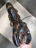 鲟食 波士顿龙虾冰鲜冷冻大波龙澳龙大龙虾生鲜虾类夜宵送礼 波士顿龙虾【生冻】 900-1000g/只 实拍图