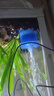 森森（SUNSUN）水妖精鱼缸迷你小型生化棉过滤器反气举气动式过滤设备 蓝色水妖精中号1个 实拍图