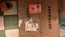 戴玉堂 8小时无烟蜡烛供佛植物酥油灯香烛烧香拜佛家用供佛供奉佛具拜拜 KD70-103C-12 一箱8小时黄色600粒 实拍图