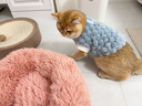 柒哦猫窝保暖冬季狗窝封闭式四季通用甜甜圈猫窝冬天网红宠物垫子用品 保暖长绒深睡窝-粉色 M【15斤内适用 50cm】 实拍图
