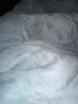 南极人豆豆绒被子10%大豆纤维被 秋冬季被子被芯 厚8斤 200*230cm 实拍图