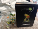 TaTanice积木花束向日葵永生花摆件大颗粒拼装玩具女孩闺蜜六一儿童节礼物 实拍图