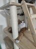 派阿哥实木太空舱猫窝大型猫爬架豪华剑麻猫树一体猫咪跳台太空舱猫架子 185cm 7层 P71【185*100*40】 轻奢松木板+实木剑麻柱 实拍图