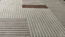 梦蜓水晶绒客厅地毯 亲肤舒适耐脏防滑 尚美 现代简约 180*250cm 实拍图