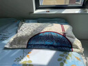 艾草枕深度睡眠安神护颈椎艾草决明子荞麦壳草本失助眠养生中药枕头枕芯 孔雀(蓝)18味中药养生助眠 晒单实拍图