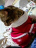华元宠具（hoopet）猫咪衣服过年冬装毛衣防掉毛小狗狗衣服宠物拜年衣服保暖喜庆唐装 圣诞色雪花毛衣 XL：胸围49cm（建议10-14斤） 实拍图