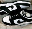 耐克（NIKE）男鞋 Dunk Low 黑白熊猫经典低帮复古休闲板鞋DD1391-100 42 实拍图
