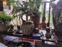 陶云尚 小和尚茶宠摆件紫砂可养茶玩功夫茶具配件家居办公饰品 哥窑小和尚琴棋书画一套 实拍图