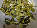 恩施玉露（ENSHIYULU）2025年新茶 恩施硒茶蒸青绿茶品鉴装旅行装试饮茶叶20g 实拍图