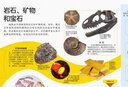 DK玩出来的百科：绝对惊奇地球 科普百科 地球知识启蒙 少儿物理启蒙 实拍图