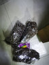 劉閣蘭花建兰四季兰花苗矮种金荷现带浓香花苞出售室内外桌面绿植花卉盆栽 金荷，一颗3苗连体当年开花 实拍图
