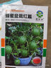 超甜蜂蜜小西瓜种子红玉无籽小西瓜四季种植阳台庭院盆栽水果种子 蜂蜜盆栽小西瓜种子（30天可吃） 高产良种：3包约120粒【新种 实拍图