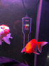 森森（SUNSUN）龙鱼缸加热棒自动恒温变频省电加温棒水族箱加温器 急速加热【1000W省电】推荐500-700L水 实拍图