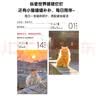 有猫可撸 喵呜不停2025日历 随机亲签版 猫咪日历2025年 可爱猫咪写真萌宠日历 摄影客出品  实拍图
