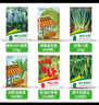 花沃里12款蔬菜种子 黄瓜西红柿草莓香菜薄荷生菜辣椒白菜菠菜香葱种籽 实拍图