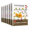 常见花草轻图鉴+鸟类轻图鉴+哺乳动物轻图鉴+猫咪轻图鉴 +世界名犬轻图鉴+野花轻图鉴 （套装6册） 实拍图