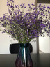 爱满（AIMAN）满天星天然干花花束ins网红生日 新房装饰摆件风干真插花家居摆设 紫色满天星  【带M款花瓶】 实拍图