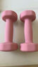 品健（PINJIAN）浸塑哑铃女士家用塑形训练手臂男士健身器材套装 樱花粉/2KG*2 实拍图
