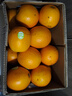 云冠橙4.5斤装褚橙官方正品云南冰糖橙当季新鲜水果礼盒原产地橙子 4.5斤优级L果 实拍图